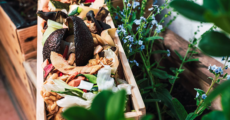 How to Compost Kitchen Scraps Quickly