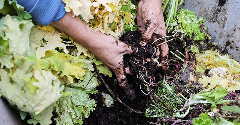 How to Compost Yard Waste in an Urban Area