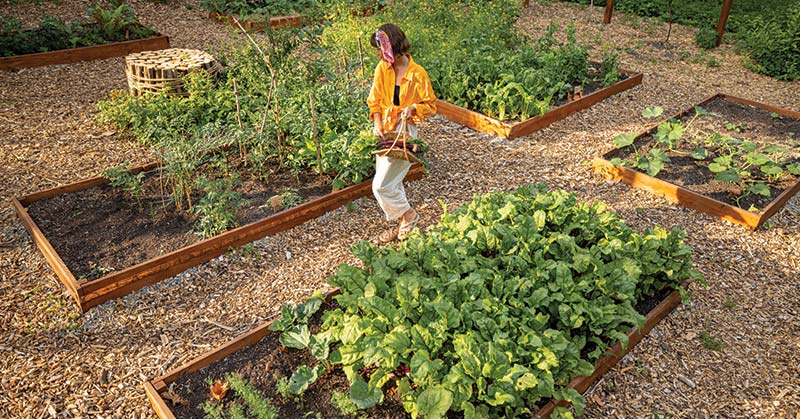 How do you make a Raised Vegetable Garden