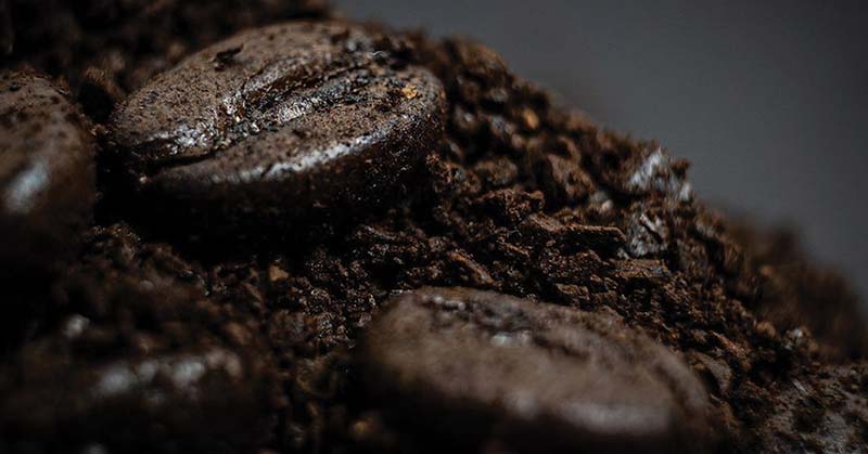 How to Compost Coffee Grounds