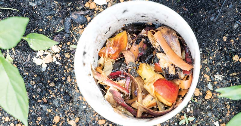 How to Compost Juice Pulp