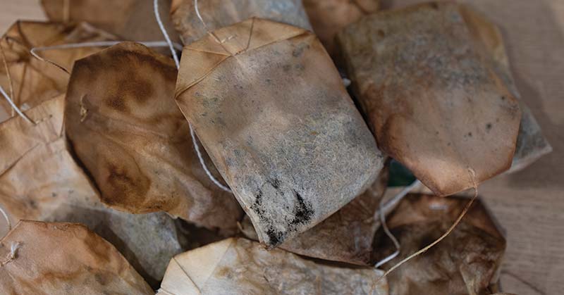 How to Compost Tea Bags