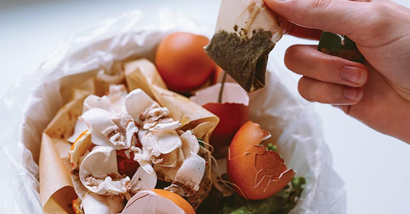How to make Compost with Eggshells