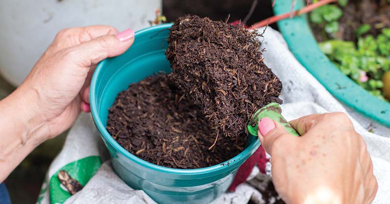 best compost for herbs